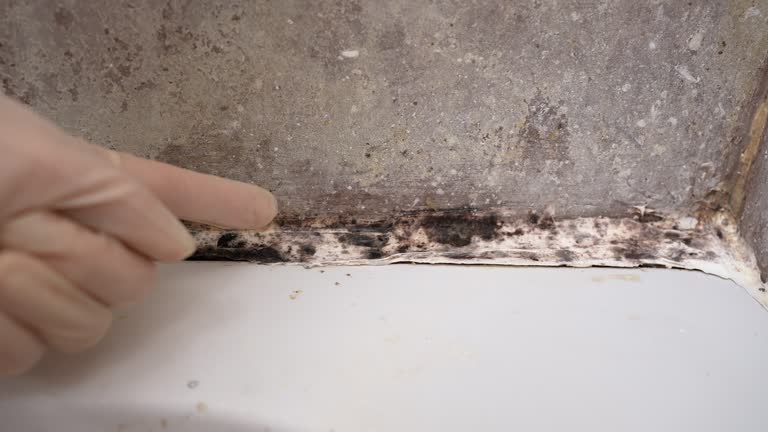 Asbestos and Lead Testing During Mold Inspection in Bloomingdale, GA